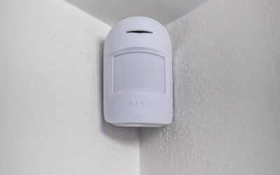 Sécurité Électronique pour Entreprises : Alarme Intrusion, Vidéosurveillance, Contrôle d&rsquo;Accès et Interphone Connecté